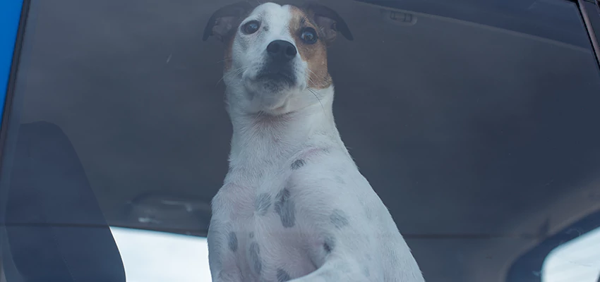 Car Lockout Solutions in Cloverdale, California